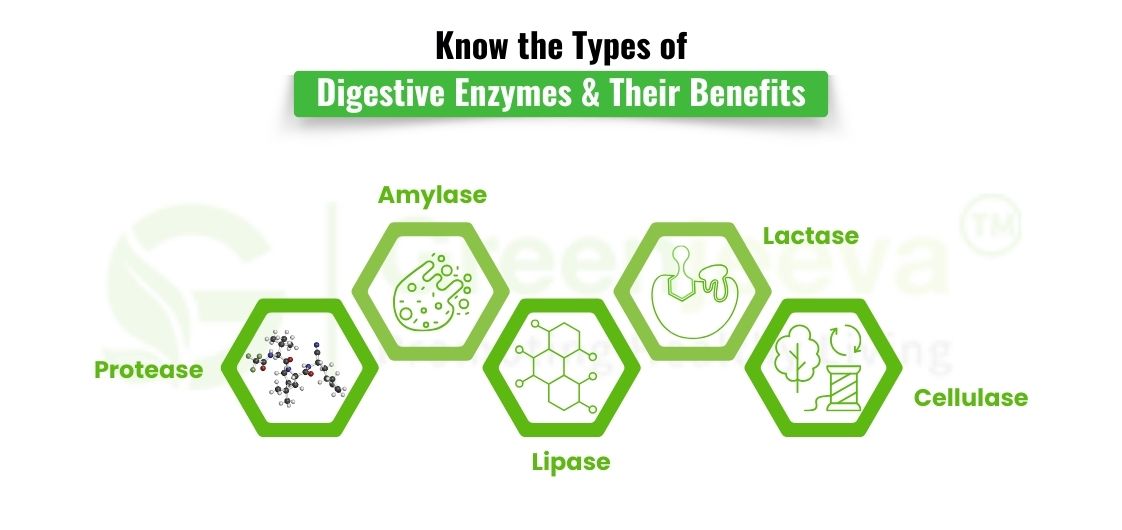 digestive enzymes powder